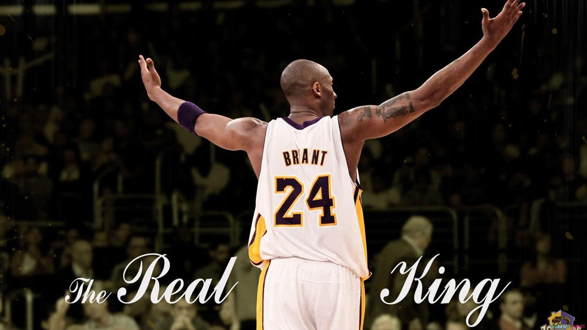 青训故事：他们是如何走上职业足球道路的？，足球青训3大基础